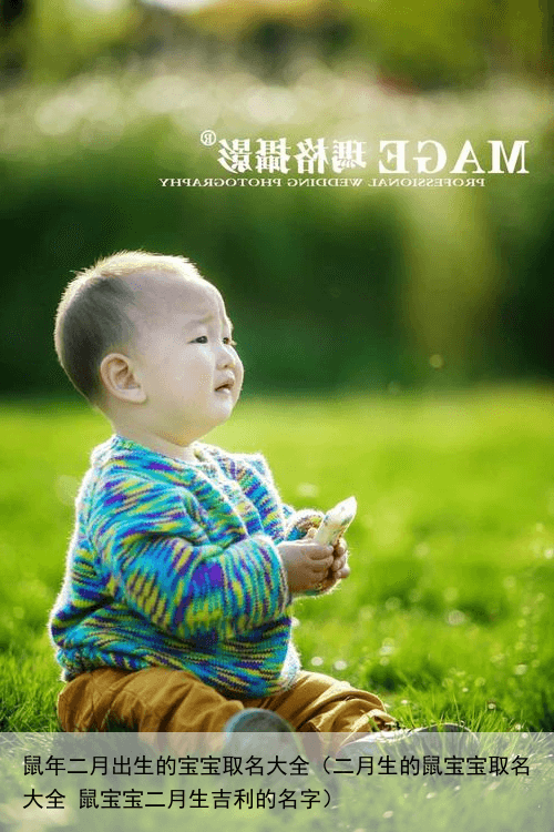 鼠年二月出生的宝宝取名大全（二月生的鼠宝宝取名大全 鼠宝宝二月生吉利的名字）