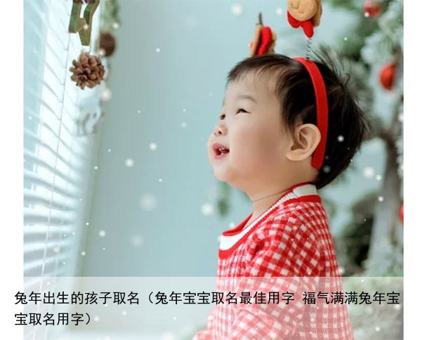兔年出生的孩子取名（兔年宝宝取名最佳用字 福气满满兔年宝宝取名用字）