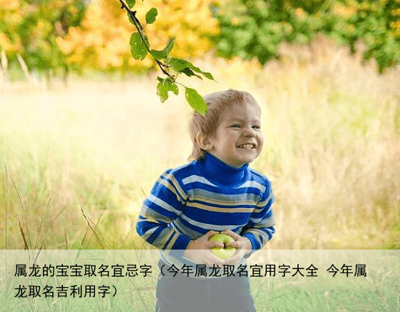 属龙的宝宝取名宜忌字（今年属龙取名宜用字大全 今年属龙取名吉利用字）