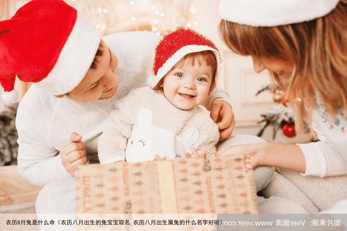 农历8月兔是什么命（农历八月出生的兔宝宝取名 农历八月出生属兔的什么名字好听）