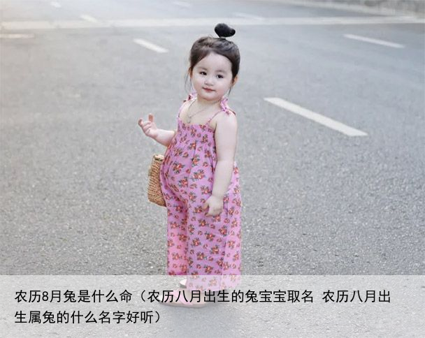 农历8月兔是什么命（农历八月出生的兔宝宝取名 农历八月出生属兔的什么名字好听）