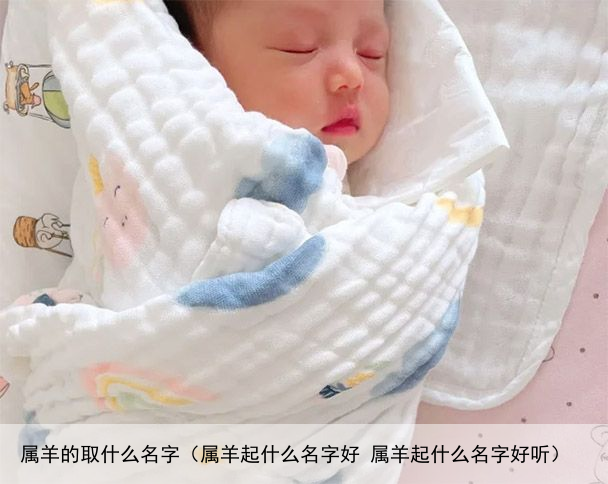 属羊的取什么名字（属羊起什么名字好 属羊起什么名字好听）