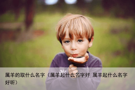 属羊的取什么名字（属羊起什么名字好 属羊起什么名字好听）