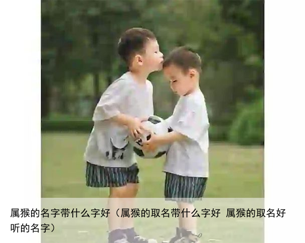 属猴的名字带什么字好（属猴的取名带什么字好 属猴的取名好听的名字）