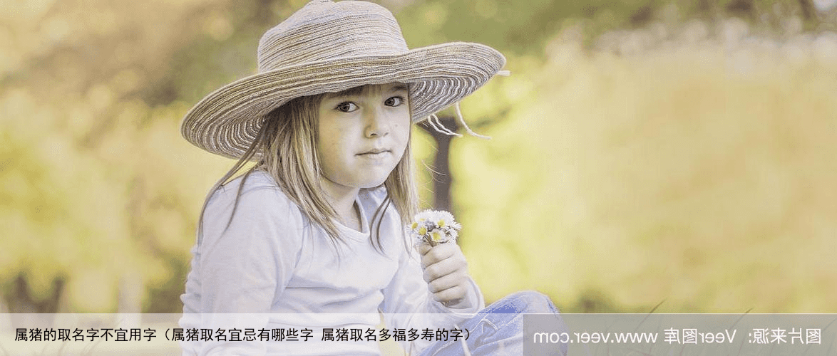 属猪的取名字不宜用字（属猪取名宜忌有哪些字 属猪取名多福多寿的字）