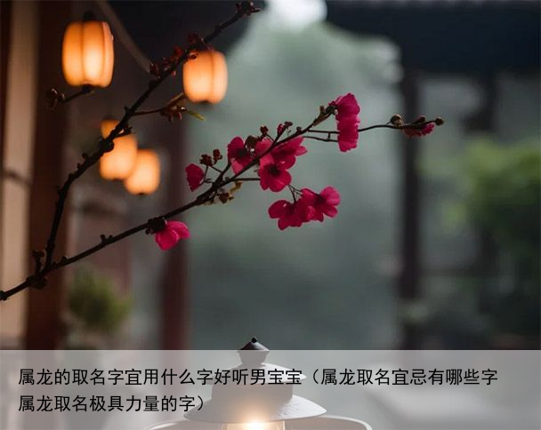 属龙的取名字宜用什么字好听男宝宝（属龙取名宜忌有哪些字 属龙取名极具力量的字）