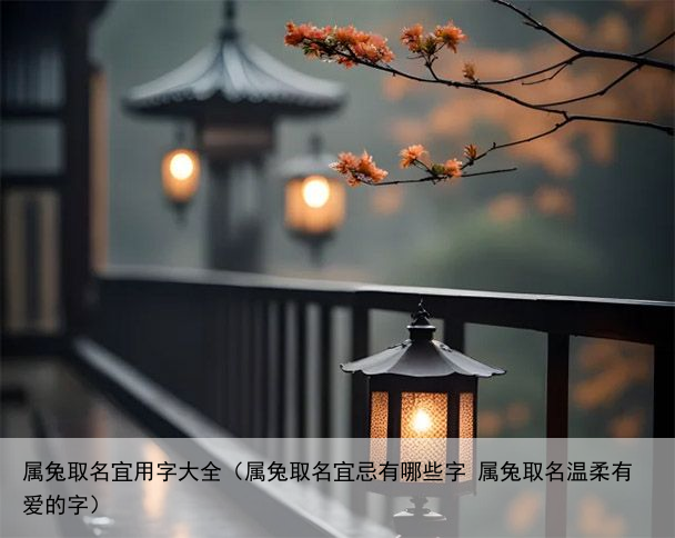 属兔取名宜用字大全（属兔取名宜忌有哪些字 属兔取名温柔有爱的字）