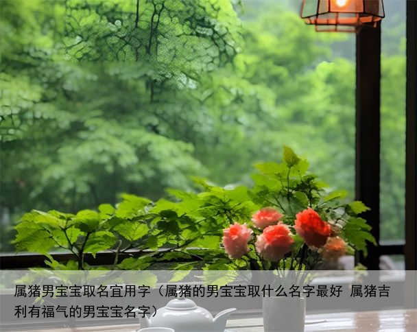 属猪男宝宝取名宜用字（属猪的男宝宝取什么名字最好 属猪吉利有福气的男宝宝名字）