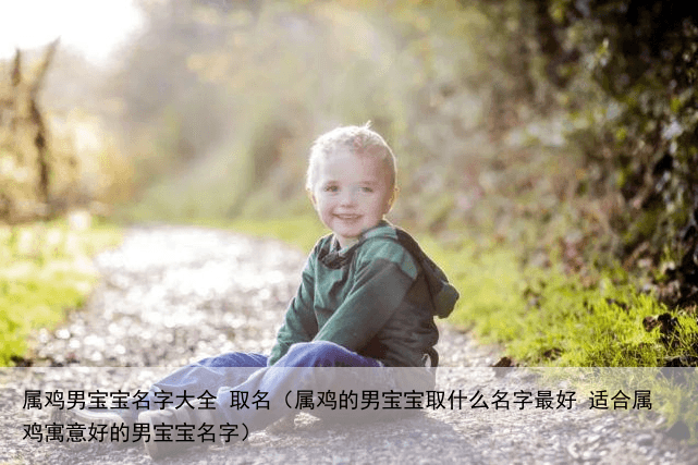 属鸡男宝宝名字大全 取名（属鸡的男宝宝取什么名字最好 适合属鸡寓意好的男宝宝名字）