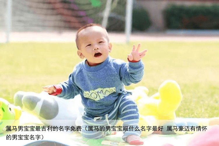 属马男宝宝最吉利的名字免费（属马的男宝宝取什么名字最好 属马豪迈有情怀的男宝宝名字）