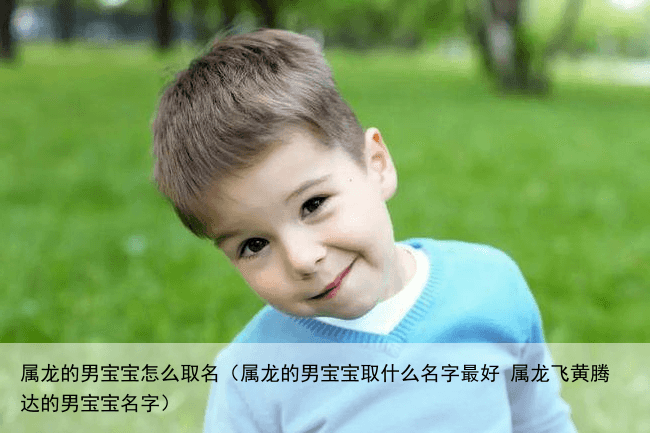 属龙的男宝宝怎么取名（属龙的男宝宝取什么名字最好 属龙飞黄腾达的男宝宝名字）