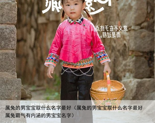 属兔的男宝宝取什么名字最好（属兔的男宝宝取什么名字最好 属兔霸气有内涵的男宝宝名字）