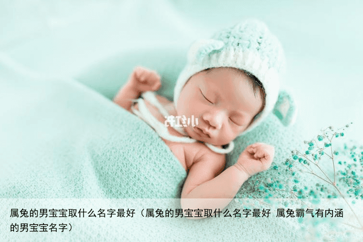属兔的男宝宝取什么名字最好（属兔的男宝宝取什么名字最好 属兔霸气有内涵的男宝宝名字）