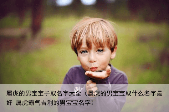 属虎的男宝宝子取名字大全（属虎的男宝宝取什么名字最好 属虎霸气吉利的男宝宝名字）
