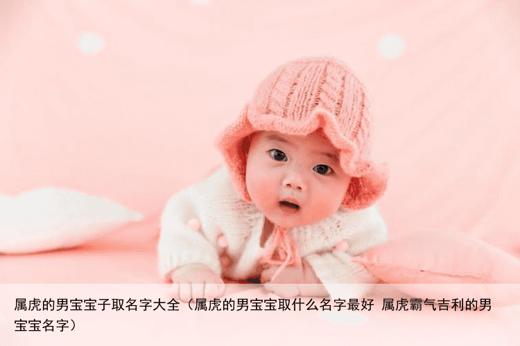 属虎的男宝宝子取名字大全（属虎的男宝宝取什么名字最好 属虎霸气吉利的男宝宝名字）