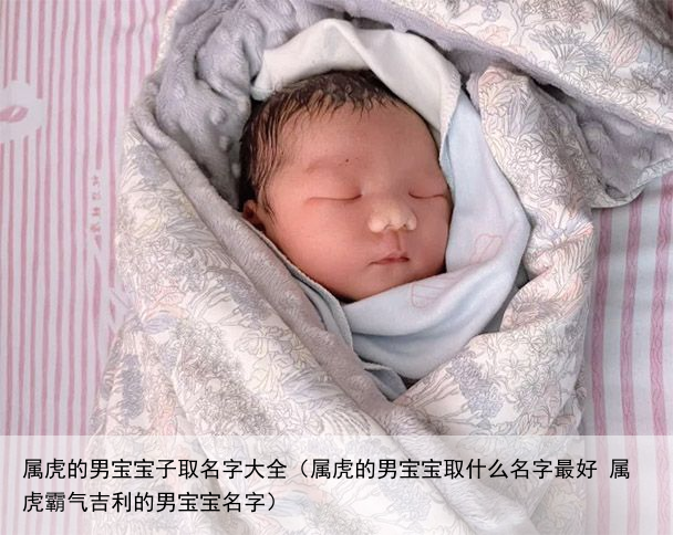 属虎的男宝宝子取名字大全（属虎的男宝宝取什么名字最好 属虎霸气吉利的男宝宝名字）