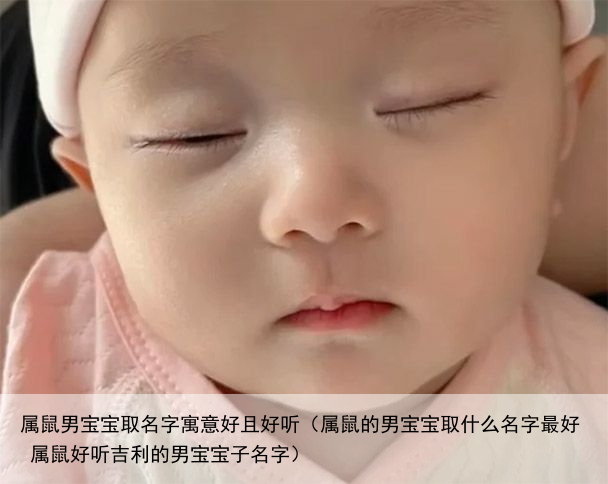 属鼠男宝宝取名字寓意好且好听（属鼠的男宝宝取什么名字最好 属鼠好听吉利的男宝宝子名字）