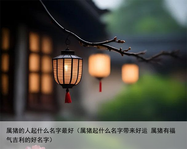 属猪的人起什么名字最好（属猪起什么名字带来好运 属猪有福气吉利的好名字）