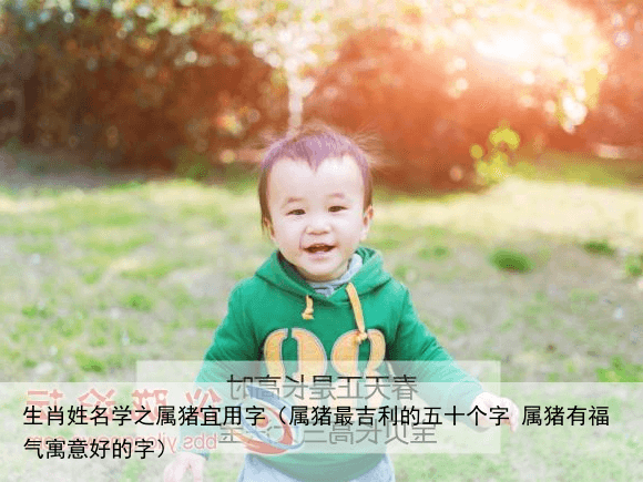 生肖姓名学之属猪宜用字（属猪最吉利的五十个字 属猪有福气寓意好的字）