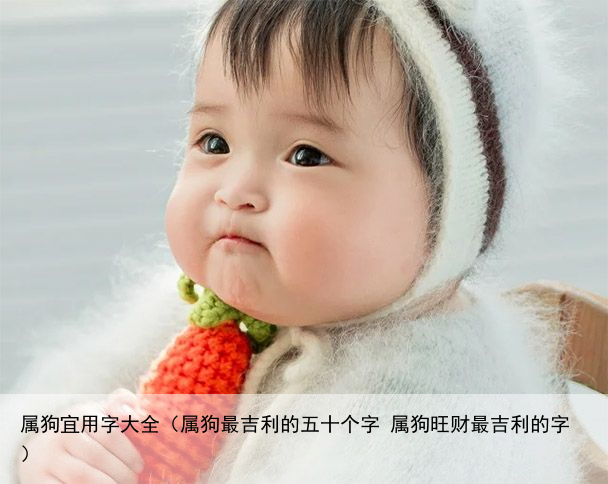属狗宜用字大全（属狗最吉利的五十个字 属狗旺财最吉利的字）
