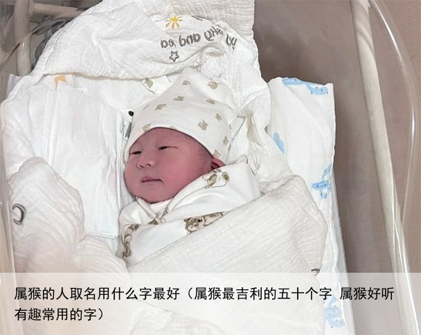属猴的人取名用什么字最好（属猴最吉利的五十个字 属猴好听有趣常用的字）