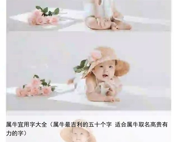 属牛宜用字大全（属牛最吉利的五十个字 适合属牛取名高贵有力的字）