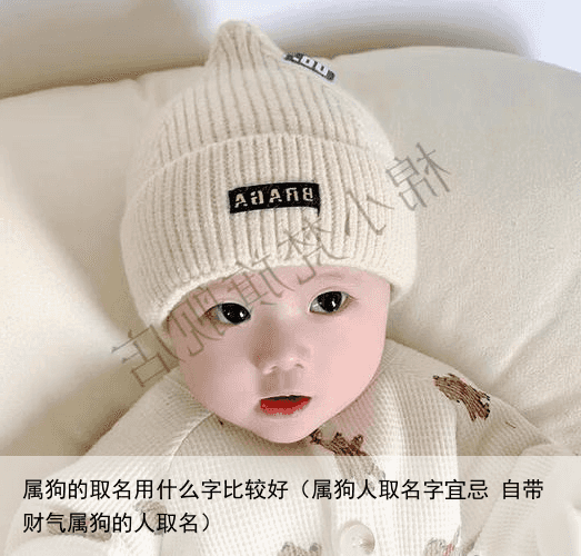 属狗的取名用什么字比较好（属狗人取名字宜忌 自带财气属狗的人取名）