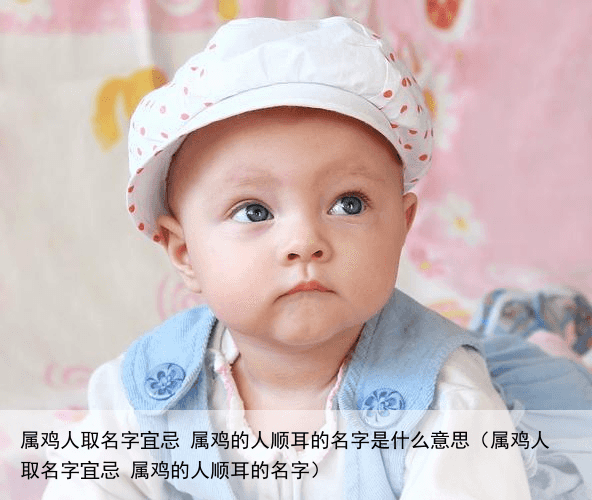属鸡人取名字宜忌 属鸡的人顺耳的名字是什么意思（属鸡人取名字宜忌 属鸡的人顺耳的名字）