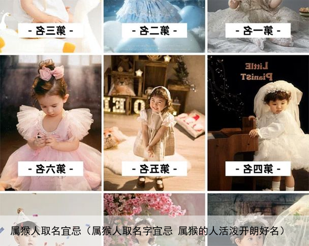 属猴人取名宜忌（属猴人取名字宜忌 属猴的人活泼开朗好名）