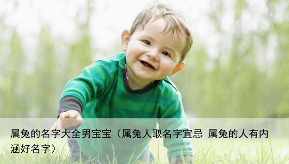 属兔的名字大全男宝宝（属兔人取名字宜忌 属兔的人有内涵好名字）