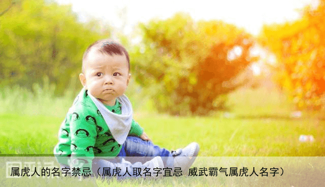 属虎人的名字禁忌（属虎人取名字宜忌 威武霸气属虎人名字）