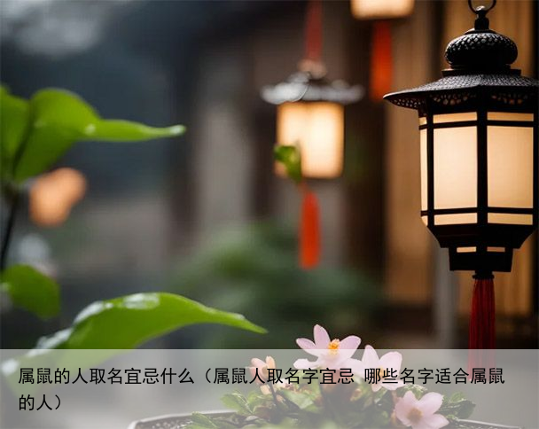 属鼠的人取名宜忌什么（属鼠人取名字宜忌 哪些名字适合属鼠的人）