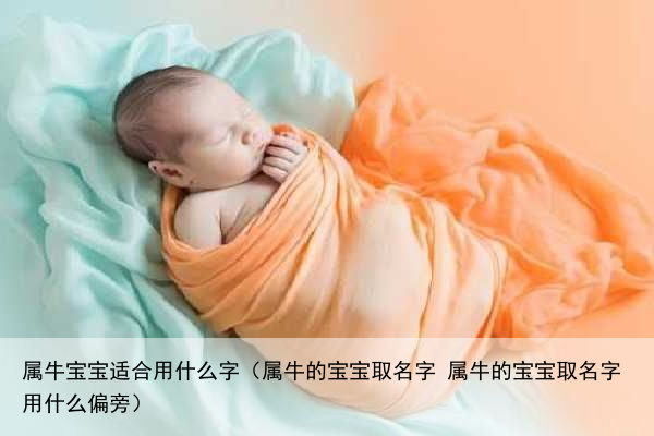 属牛宝宝适合用什么字（属牛的宝宝取名字 属牛的宝宝取名字用什么偏旁）