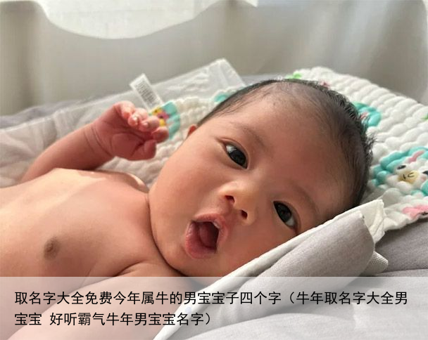 取名字大全免费今年属牛的男宝宝子四个字（牛年取名字大全男宝宝 好听霸气牛年男宝宝名字）