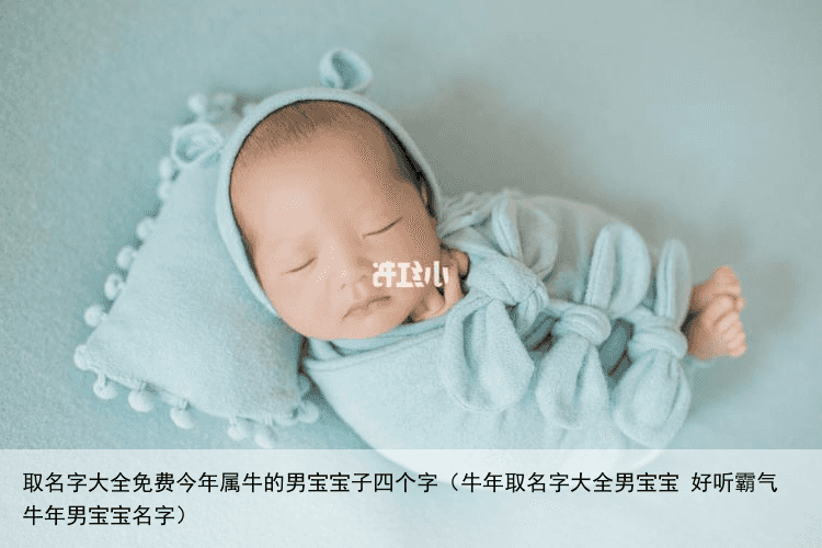 取名字大全免费今年属牛的男宝宝子四个字（牛年取名字大全男宝宝 好听霸气牛年男宝宝名字）
