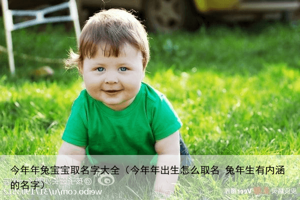 今年年兔宝宝取名字大全（今年年出生怎么取名 兔年生有内涵的名字）
