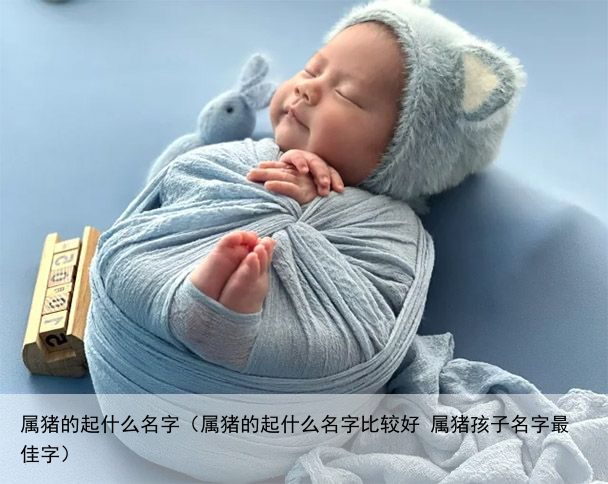 属猪的起什么名字（属猪的起什么名字比较好 属猪孩子名字最佳字）