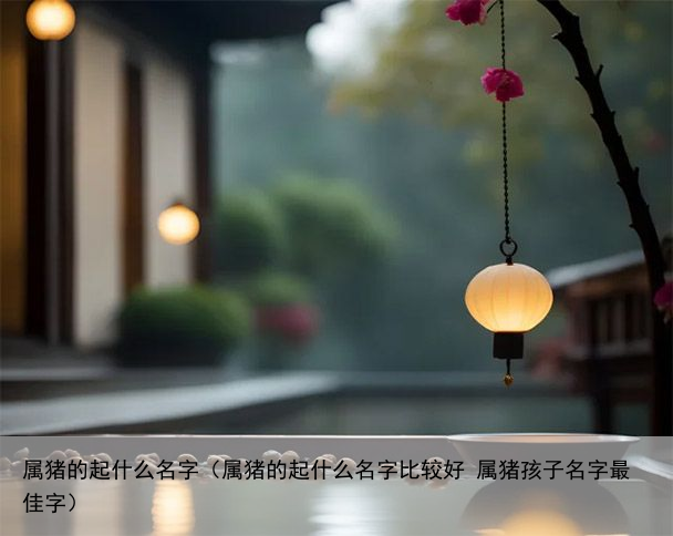 属猪的起什么名字（属猪的起什么名字比较好 属猪孩子名字最佳字）