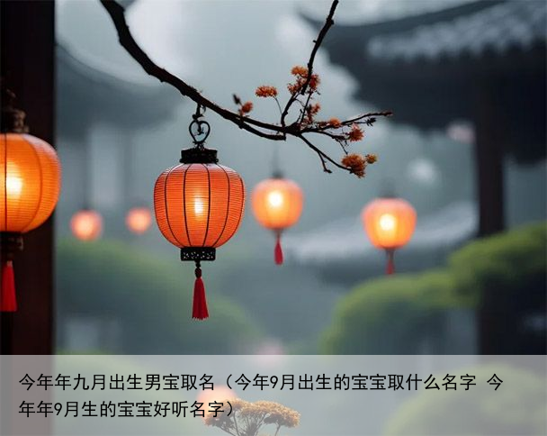 今年年九月出生男宝取名（今年9月出生的宝宝取什么名字 今年年9月生的宝宝好听名字）