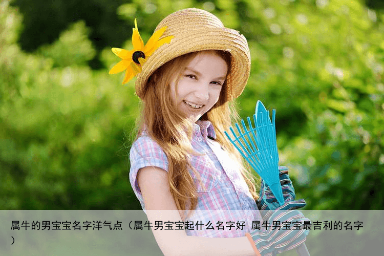 属牛的男宝宝名字洋气点（属牛男宝宝起什么名字好 属牛男宝宝最吉利的名字）