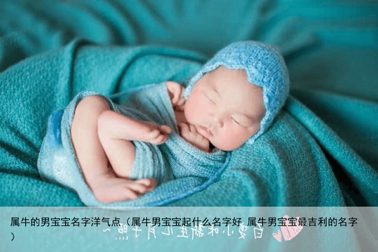 属牛的男宝宝名字洋气点（属牛男宝宝起什么名字好 属牛男宝宝最吉利的名字）