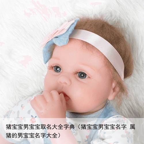 猪宝宝男宝宝取名大全字典（猪宝宝男宝宝名字 属猪的男宝宝名字大全）