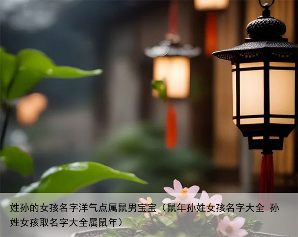 姓孙的女孩名字洋气点属鼠男宝宝（鼠年孙姓女孩名字大全 孙姓女孩取名字大全属鼠年）