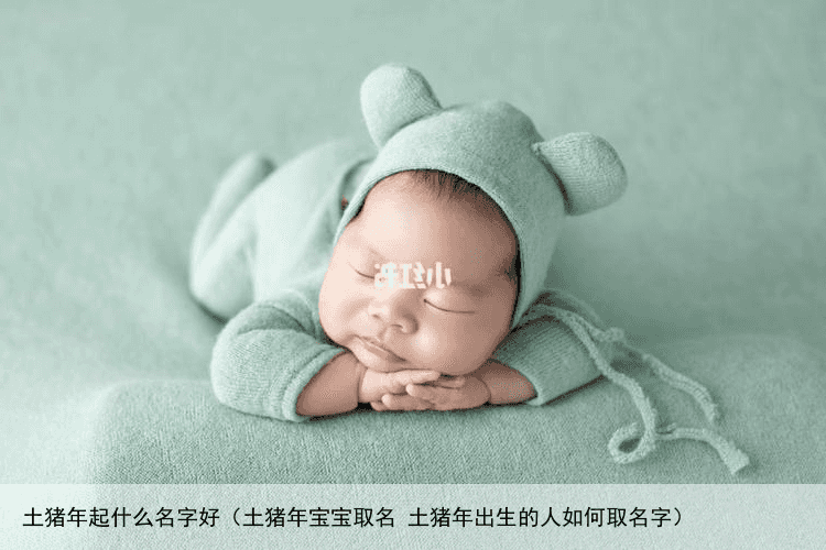 土猪年起什么名字好（土猪年宝宝取名 土猪年出生的人如何取名字）
