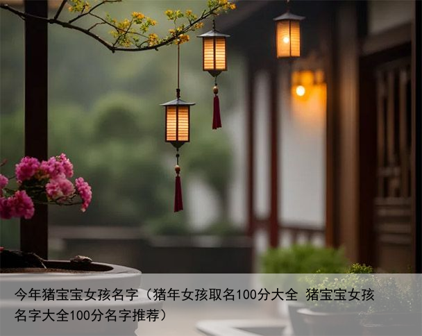 今年猪宝宝女孩名字（猪年女孩取名100分大全 猪宝宝女孩名字大全100分名字推荐）
