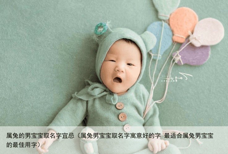 属兔的男宝宝取名字宜忌（属兔男宝宝取名字寓意好的字 最适合属兔男宝宝的最佳用字）