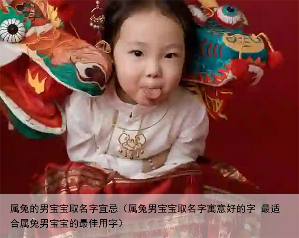 属兔的男宝宝取名字宜忌（属兔男宝宝取名字寓意好的字 最适合属兔男宝宝的最佳用字）