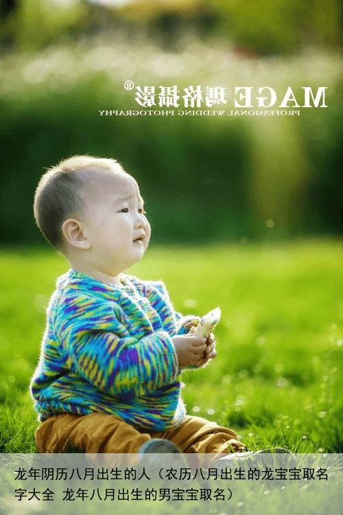 龙年阴历八月出生的人（农历八月出生的龙宝宝取名字大全 龙年八月出生的男宝宝取名）