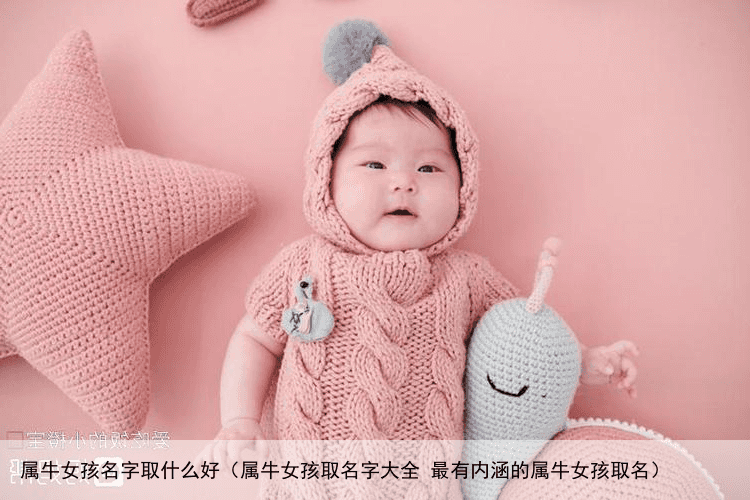 属牛女孩名字取什么好（属牛女孩取名字大全 最有内涵的属牛女孩取名）