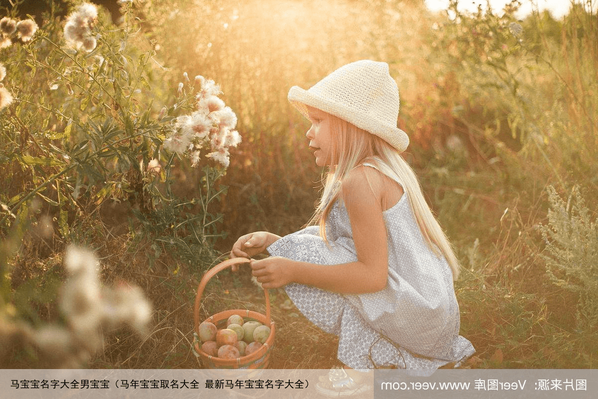 马宝宝名字大全男宝宝（马年宝宝取名大全 最新马年宝宝名字大全）